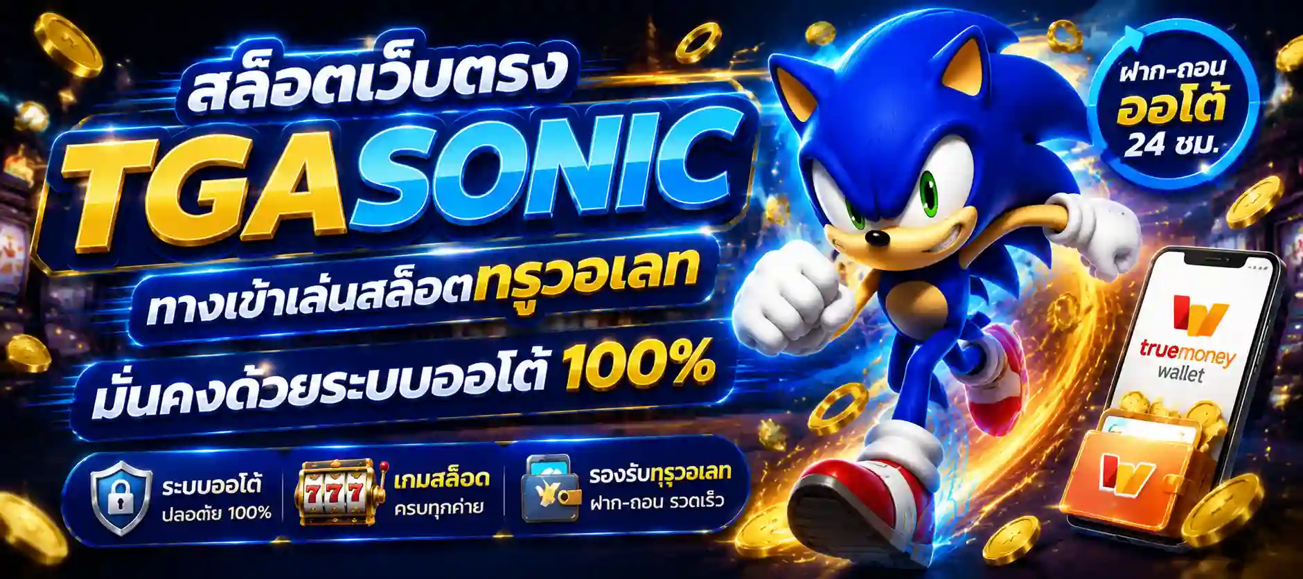 tgasonic ทางเข้า